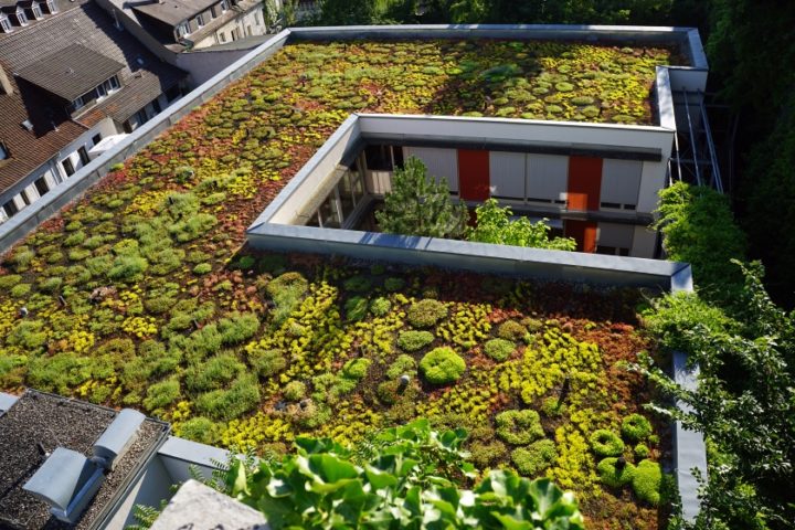 green roofs smart city