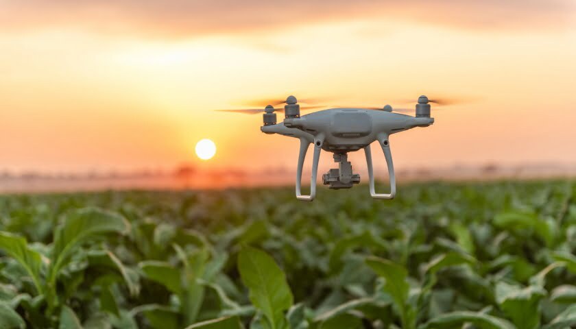 ČZU dron zemědělství